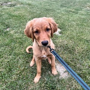 Fundraising Page: Lindsay Fredrich